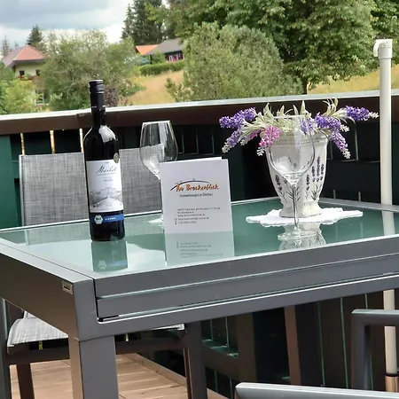Apartment Landhausferienwohnungen Am Brockenblick Sorge